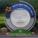 일월산자생화공원 Daum카페