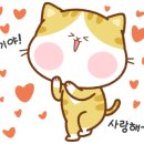 석수정수기