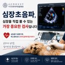 아크로벳 내과동물병원 | 아크로벳내과동물병원 심장초음파, 심장을 직접 볼 수 있는 가장 중요한 검사입니다