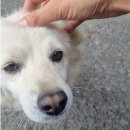 상명달공원 | [모두의회고] 커리어회고 3편 - 남초회사 영업직 3년차