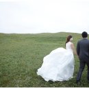 남북인연결혼 이미지