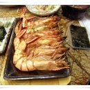 참치애 이미지