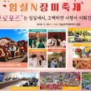 동물농장 | 2026 전국 장미축제 일정 총정리 (오늘 개막 울산·삼척·중랑·곡성·임실 주말 가볼만한곳)