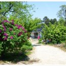 동해사슴목장 이미지