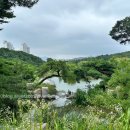 북서울꿈의숲(주차장) 이미지