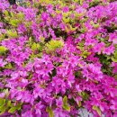 이재홍내과의원 이미지