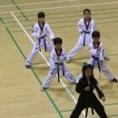 태양(태권도) 이미지