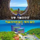 현대종합철물 | 강릉 하슬라아트월드 예약 할인 입장권 포토존 핫플 강릉 가볼만한곳