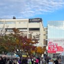 공작인 : 현대 조각과 공예 사이 | 2025년 청주공예비엔날레 방문 후기