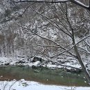 늘푸른캠프 | 자연 속 힐링을 원한다면? 가평 늘푸른캠프!