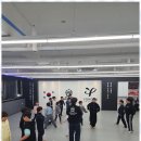 미르태권도장 이미지