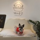 개in공간