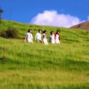 시골목장 이미지