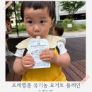소화어린이집 | 아기 요거트 언제부터 6개월 어린이집 간식 프레벨롱 유기농 아기요거트