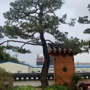 오목초등학교 앞 | 수원 카페/ 삐에스몽테 제빵소 (고색동, 한옥카페)