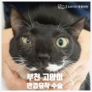 중동우리아이동물병원 이미지