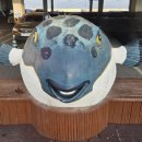 해송수산 | [ 강릉해안가 시티버스 ] "주문진수산시장 해송횟집" 포장 이용후기