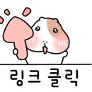 빅그로우4