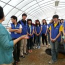 성인농장 이미지