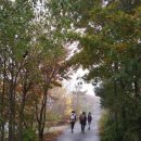 운학1리마을회관 이미지