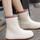 태풍소프트 이미지