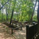 현공인중개사사무소 | 서울대공원 산림욕장길 동물원 둘레길 후기