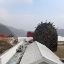 영월Y파크(술샘박물관) | 📍강원도 영월 젊은달 와이파크 후기_내돈내산_가족여행