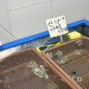 확퍼주는장터 | 청량리 다퍼줘 생새우 주말에 먹고 온 내돈내산 후기 (웨이팅, 가격 등)
