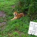 구와우농장 이미지