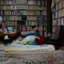 구평배수장 이미지