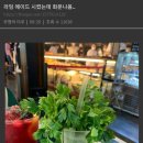 라임스토리 이미지