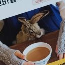 쉽게 배우는 코바늘 이미지