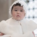 돌이가든 이미지