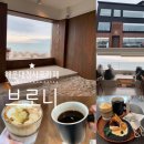 BRONi(브로니)