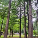 생각하는 정원 이미지