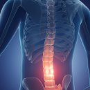 동백고려마취통증의학과의원 이미지