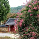 덕천사德川祠 이미지