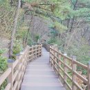 구포무장애숲길 주차장 화장실 이미지