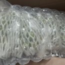 삼남매샤인머스캣