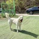 선셋파머스