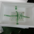 뿌리마을