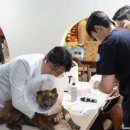 청송동물병원 이미지