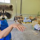 대산농협 부항지점 이미지