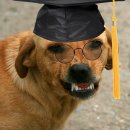 스타일안경 이미지