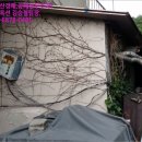 금산주유소 이미지