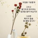 오늘의선물 이미지