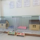 어서왈왈 이미지