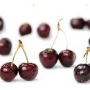 체리 이미지