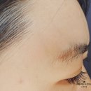 미인만들기미용실 | [개 어멈의 하루] 잠실석촌역눈썹컨설팅마이미감 솔직 후기! 인생 눈썹 찾고 이미지 변신 성공 내 돈 내산