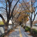 아시아드새마을 금고 이미지